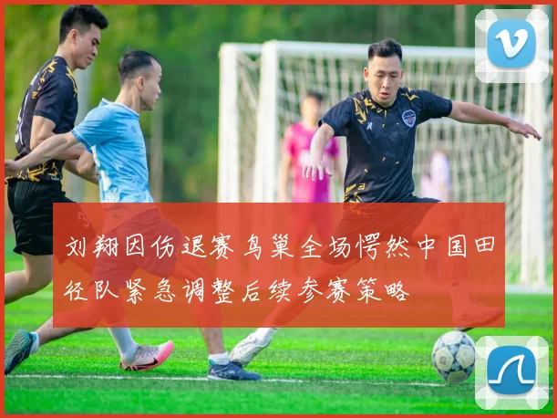 刘翔因伤退赛鸟巢全场愕然中国田径队紧急调整后续参赛策略