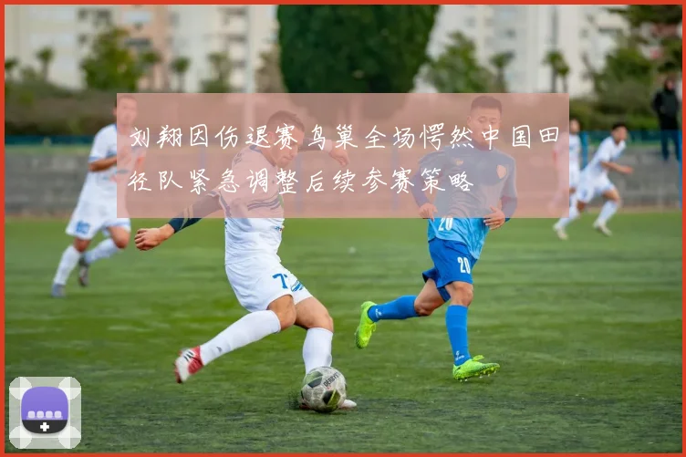 刘翔因伤退赛鸟巢全场愕然中国田径队紧急调整后续参赛策略