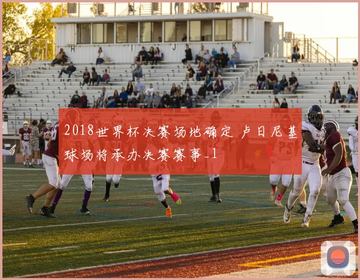 2018世界杯决赛场地确定 卢日尼基球场将承办决赛赛事_1