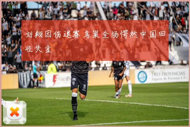 刘翔因伤退赛鸟巢全场愕然中国田径失金