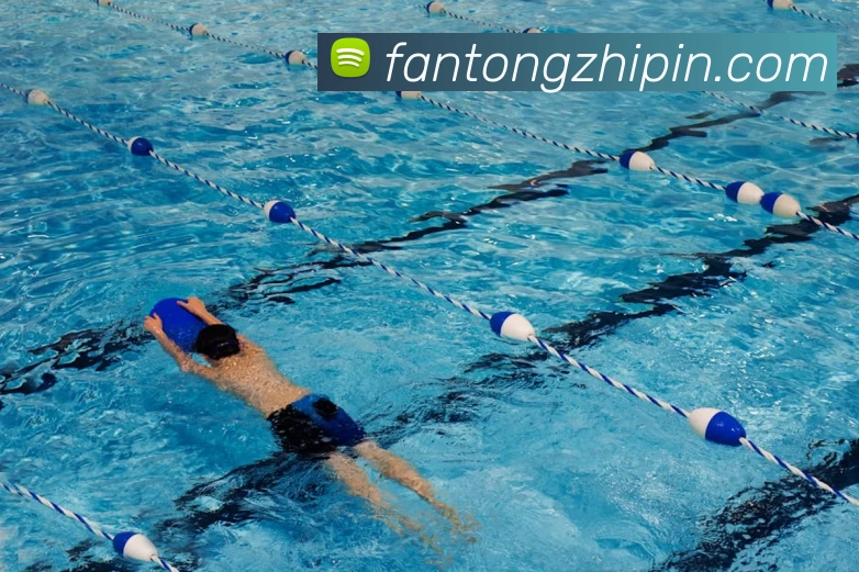 App Interface Preview